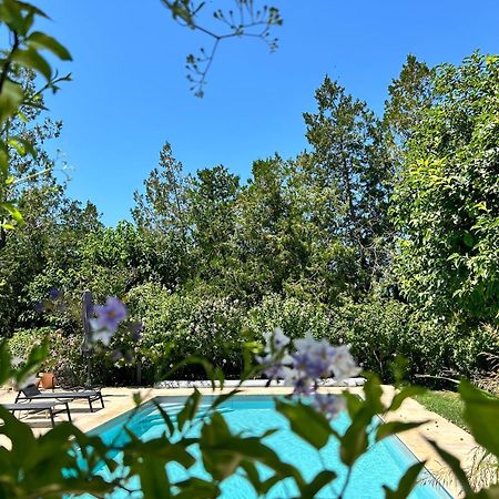 Provenzalisches Landhaus Les Martinets Am Fusse Des Mont Ventoux Villes-sur-Auzon Zewnętrze zdjęcie